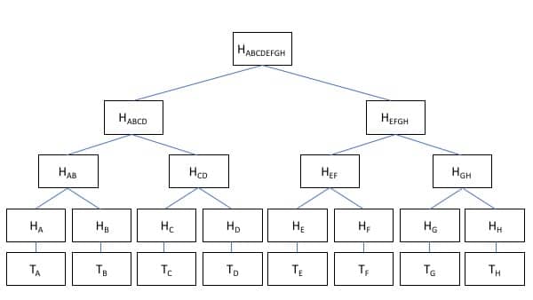 Merkle Tree showing all hashed transactions within a block in a blockchain ecosystem.